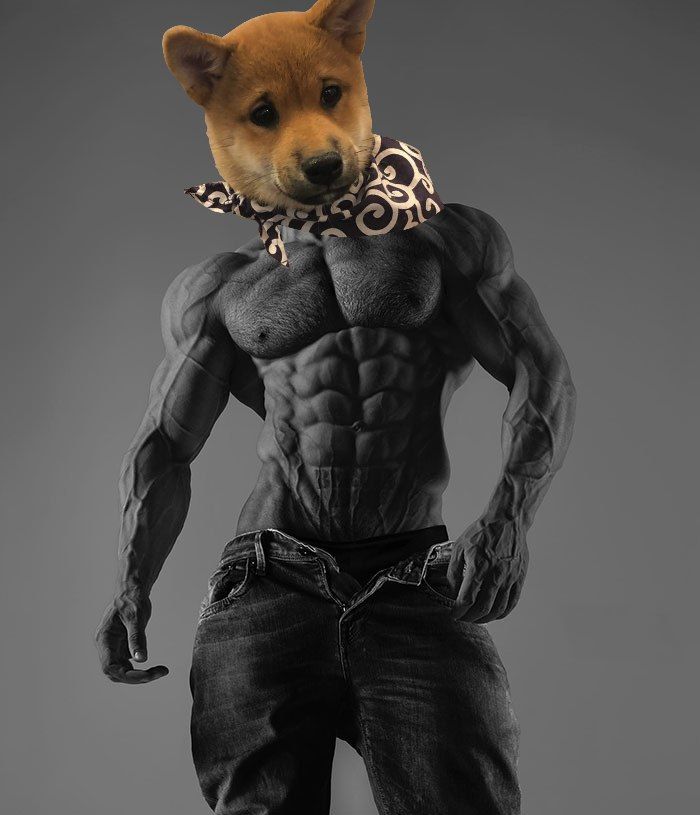 Only chads allowed

$SCARF