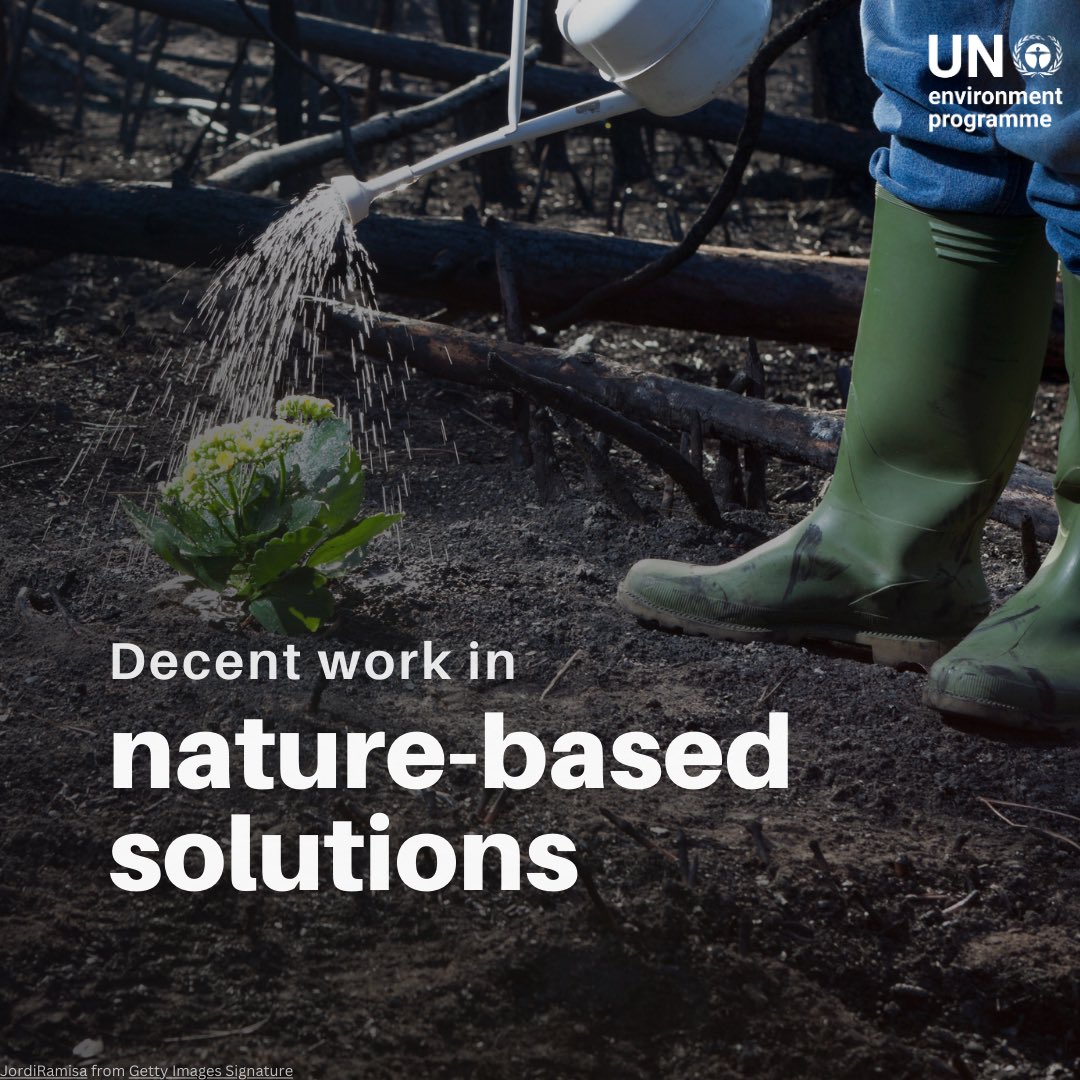 UNEP's tweet photo. Investing in nature means investing in people.

Over 60 million people currently work in sectors using nature-based solutions. With targeted investments, that number could grow by 32 million.

https://t.co/H9hVO9pnUu @ILO @iuncn https://t.co/2kxYSRHwNN