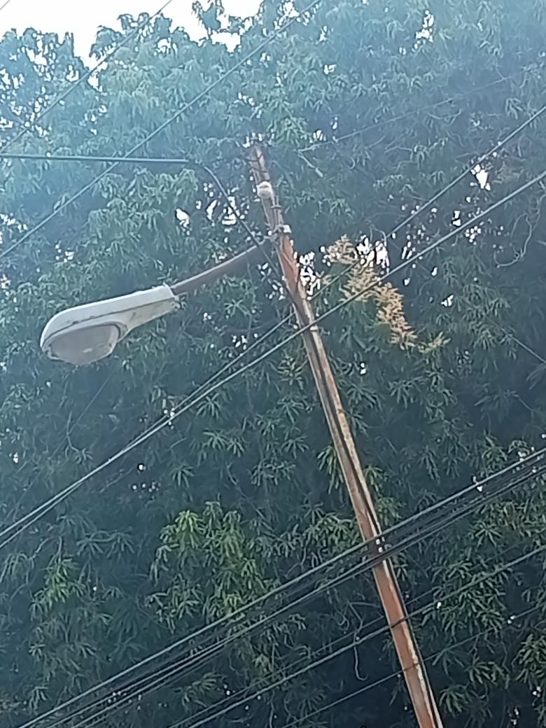 LuisCarlosPT's tweet image. Eficiencia, eficacia y soluciones (EES): la clave para construir los instrumentos q resuelvan los problemas de la gente y hacer realidad el Estado Popular y #Comunal ¡ Juntos Hay que pujar! #ees #RT @dcabellor @NicolasMaduro  @CapitanEscalon #RT