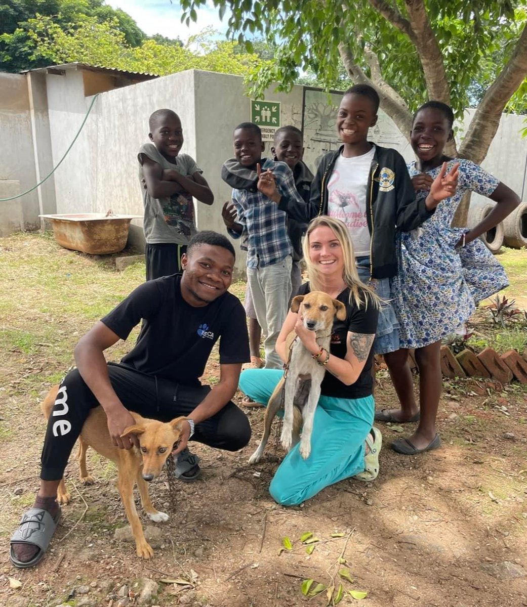 Young Vets Club tweet media