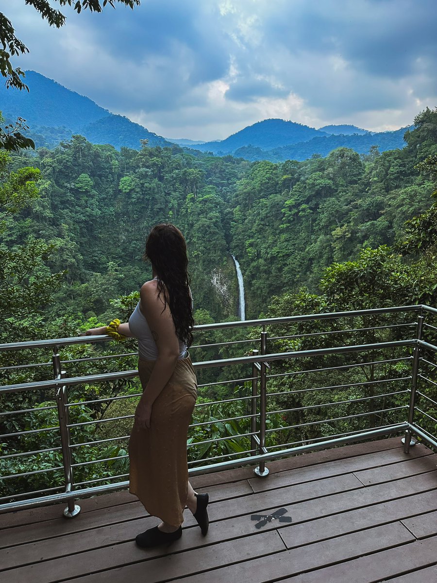 Em Harriss tweet media