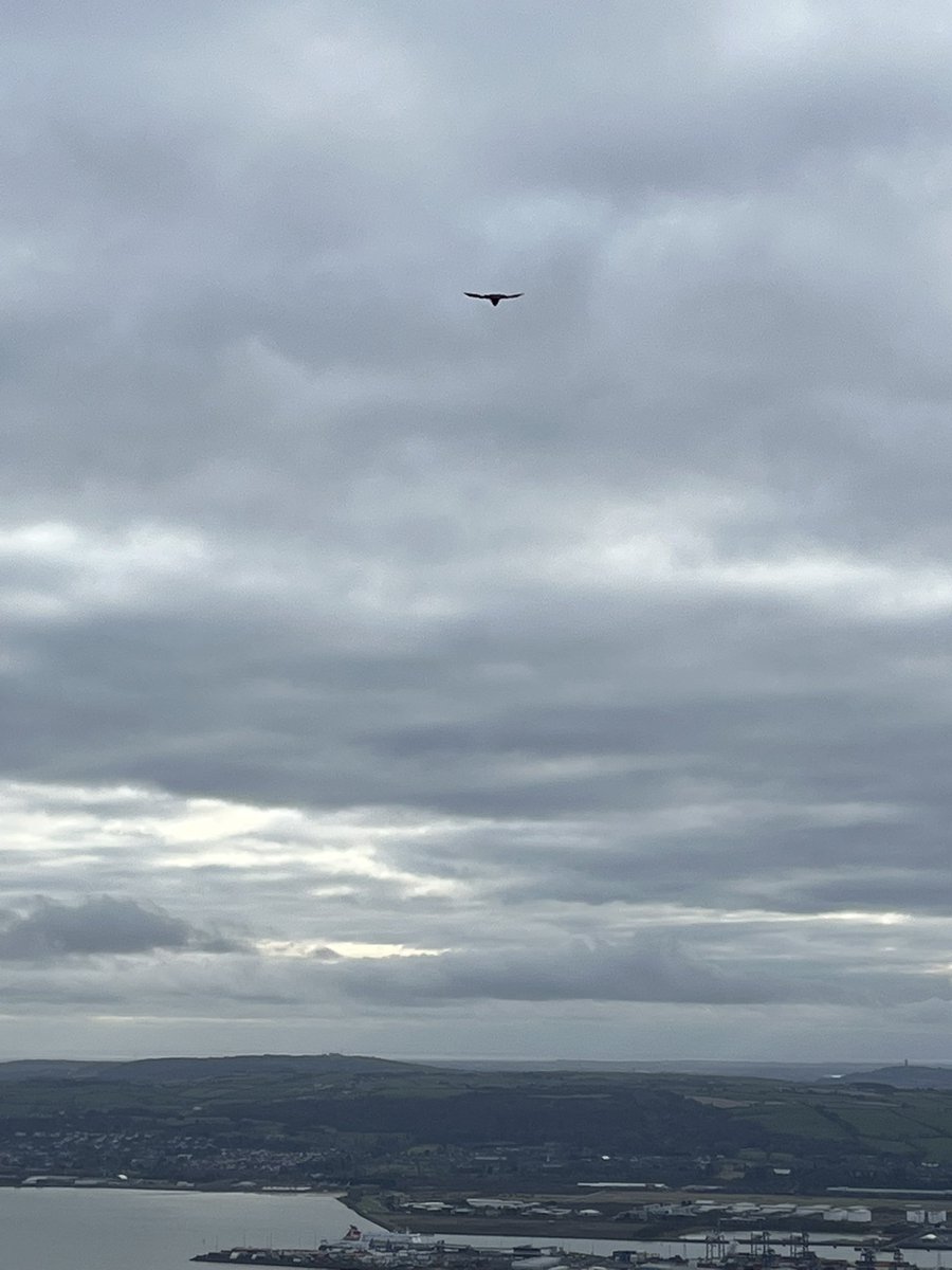 Adrian Boyd (@boyd_ar) on Twitter photo Cold and crisp morning over the Belfast hills on my morning run, spectacular clear views and the company of a little sparrow hawk hunting over the tops of the hills <a href="/barrabest/">Barra Best</a> <a href="/WeatherCee/">Cecilia Daly</a> <a href="/angie_weather/">angie phillips</a> <a href="/geoff_maskell/">Geoff Maskell</a> <a href="/bbcniweather/">BBC NI Weather</a> <a href="/Louise_utv/">Louise Small</a> <a href="/WeatherAisling/">Aisling Creevey</a> <a href="/BelfastHills/">Belfast Hills</a> Cold and crisp morning over the Belfast hills on my morning run, spectacular clear views and the company of a little sparrow hawk hunting over the tops of the hills <a href="/barrabest/">Barra Best</a> <a href="/WeatherCee/">Cecilia Daly</a> <a href="/angie_weather/">angie phillips</a> <a href="/geoff_maskell/">Geoff Maskell</a> <a href="/bbcniweather/">BBC NI Weather</a> <a href="/Louise_utv/">Louise Small</a> <a href="/WeatherAisling/">Aisling Creevey</a> <a href="/BelfastHills/">Belfast Hills</a>