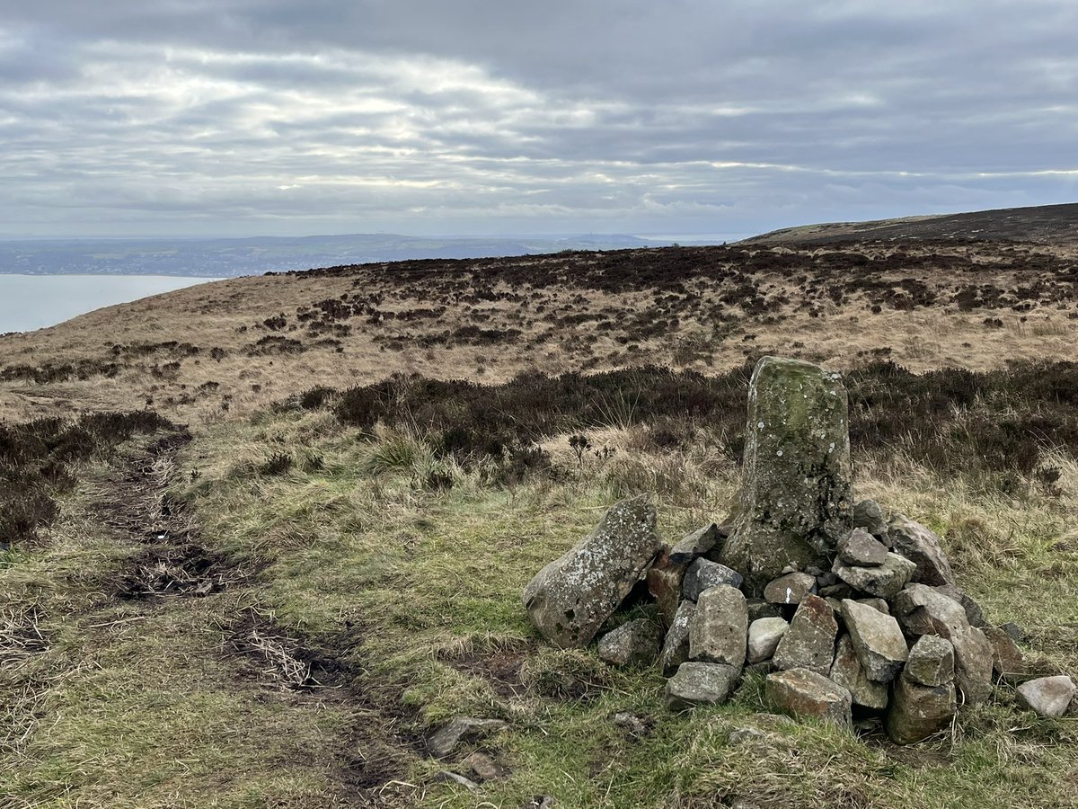 Adrian Boyd tweet media