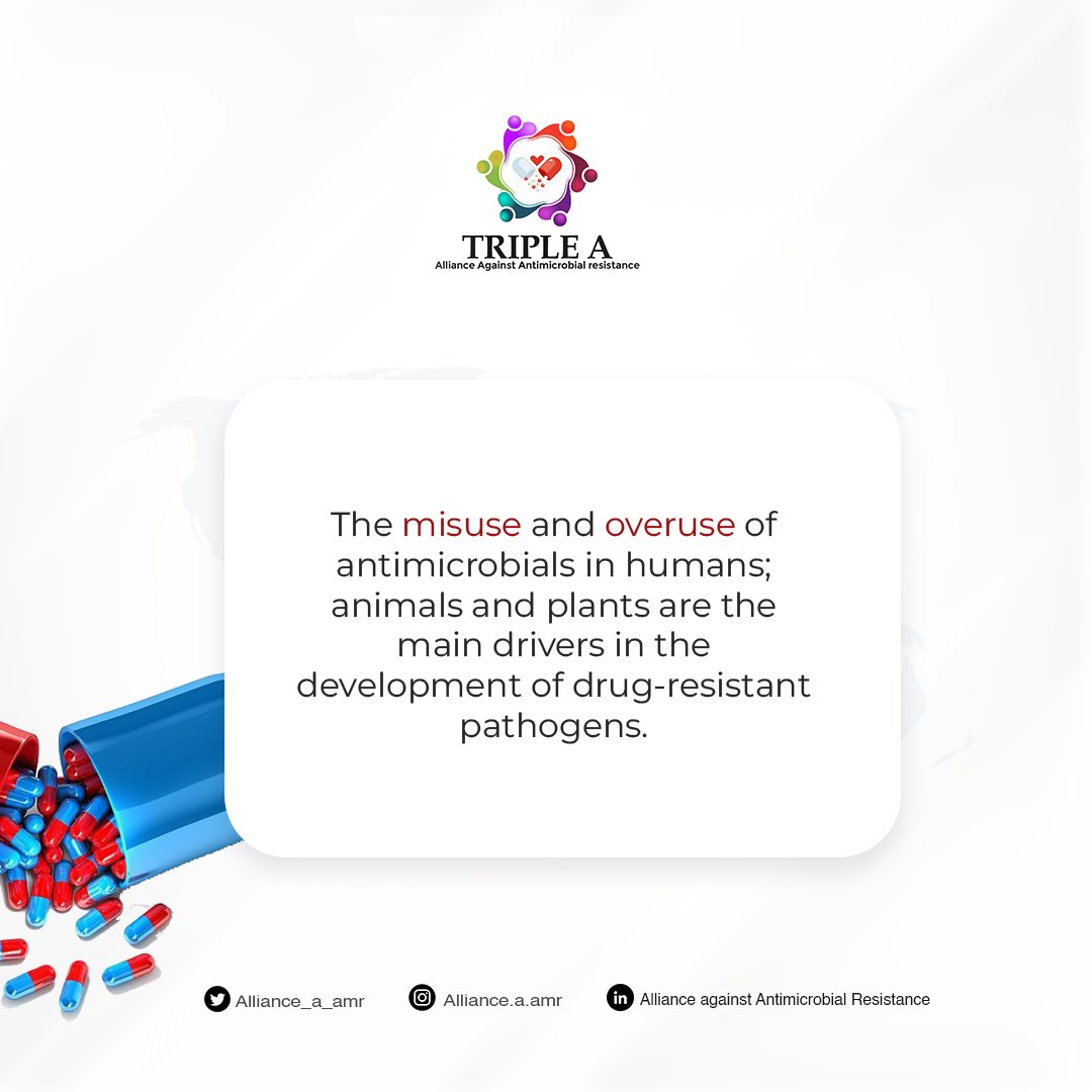 Antimicrobials are often misused or overused in ways that accelerate antimicrobial resistance (AMR). Here’s how:

𝟭. 𝗜𝗻 𝗛𝘂𝗺𝗮𝗻𝘀
• 𝗦𝗲𝗹𝗳-𝗺𝗲𝗱𝗶𝗰𝗮𝘁𝗶𝗼𝗻: Many people take antibiotics without a prescription or proper diagnosis, often for viral infections like colds