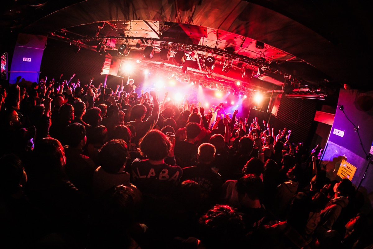 明くる夜の羊 tweet media