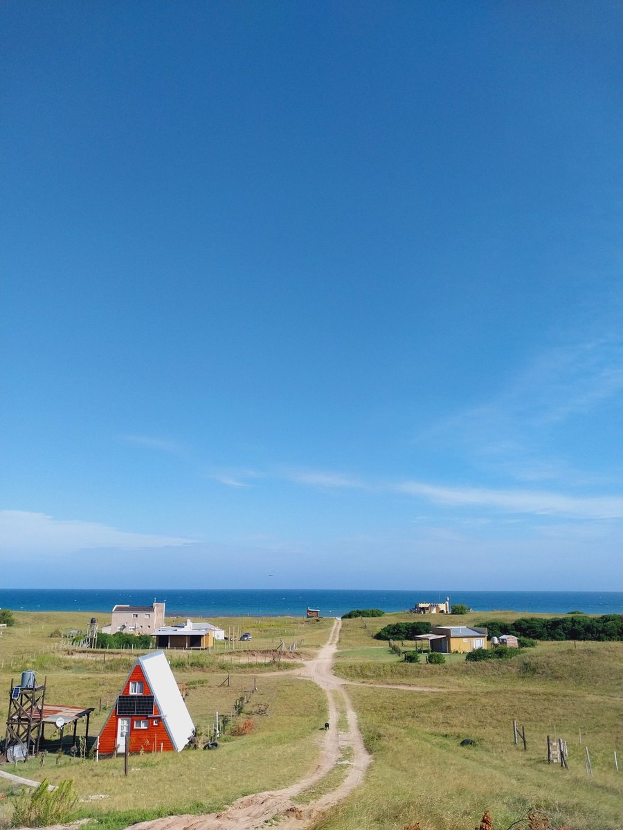 Leandro Vesco tweet media