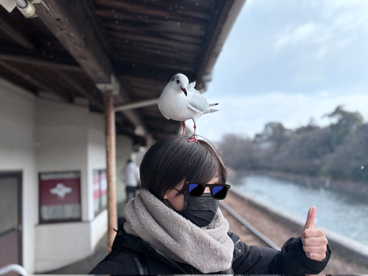 本日の奇跡のショット。
なんか無駄にカモメに懐かれた花園の図
📸→やすがさん