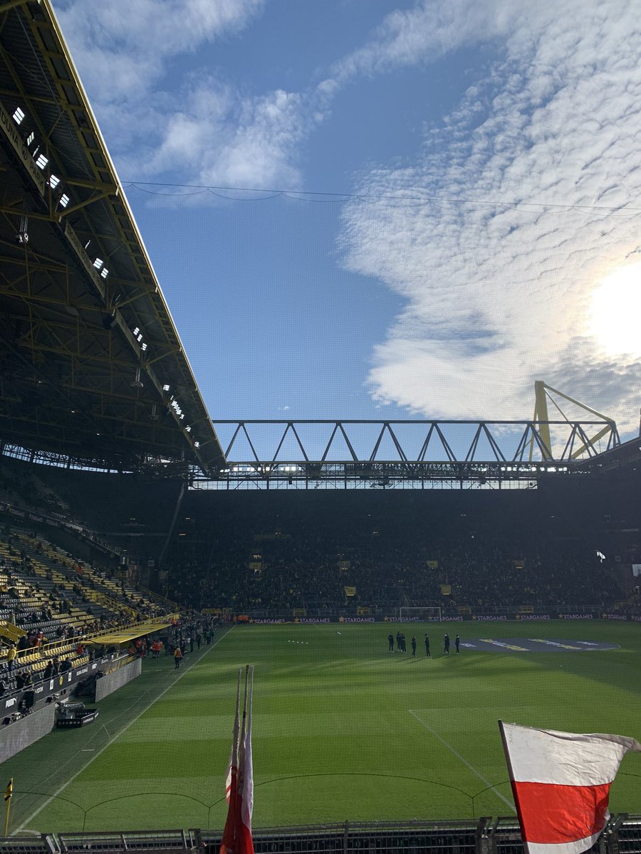 DANIELO 🎱 tweet media