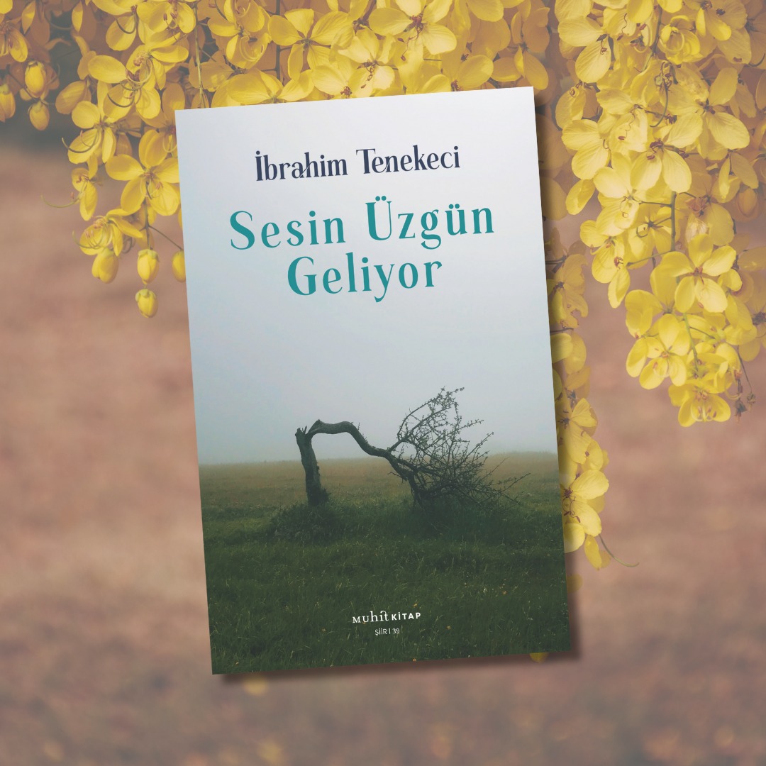 Akşamın dostluğu insandan evla 
Anlarsın bunu günün sonunda.