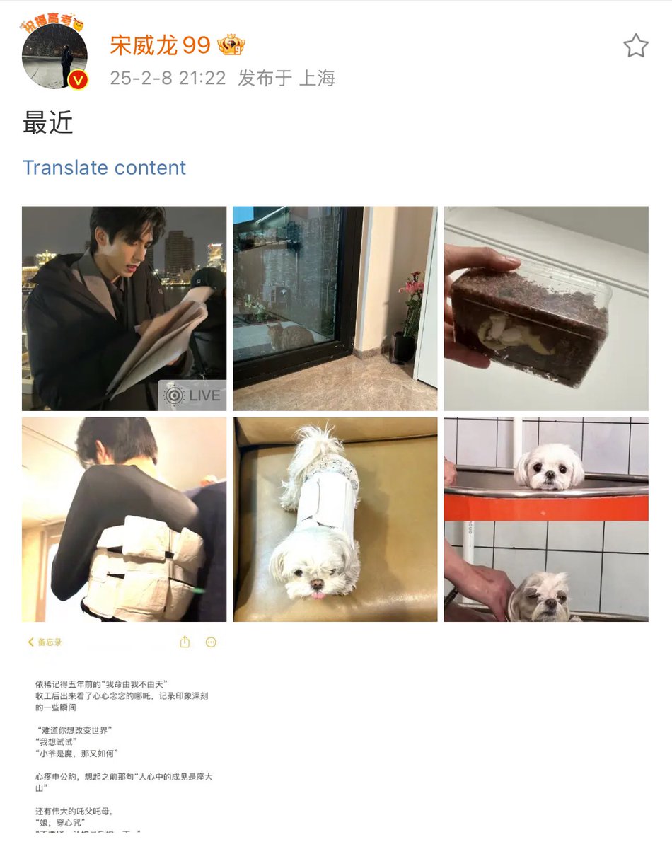૮ ˶ᵔ ᵕ ᵔ˶ ა tweet media
