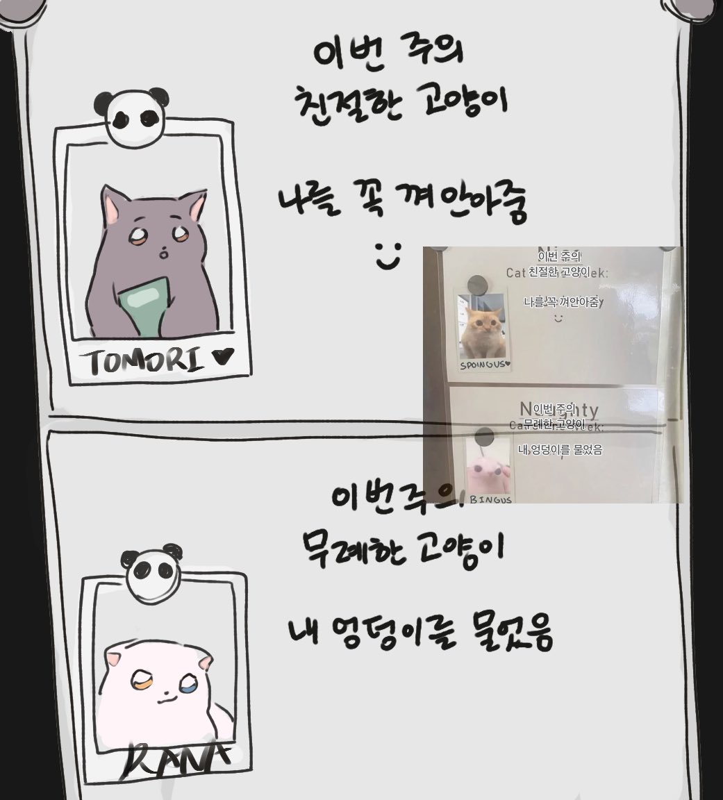 ❤️‍🔥 tweet media