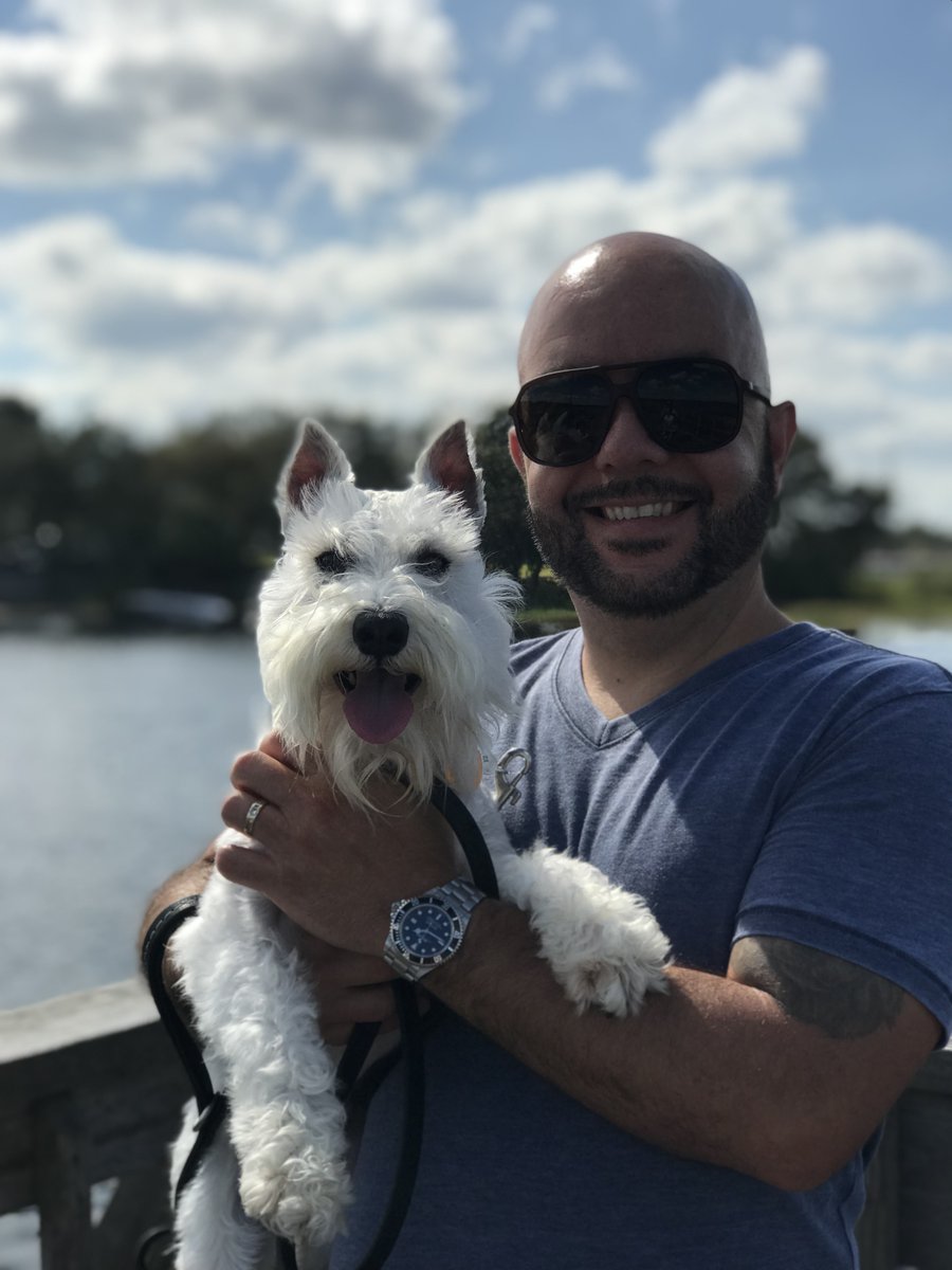 Crypto Carlos 🔺 Multiple Streams of Crypto 💰 tweet media