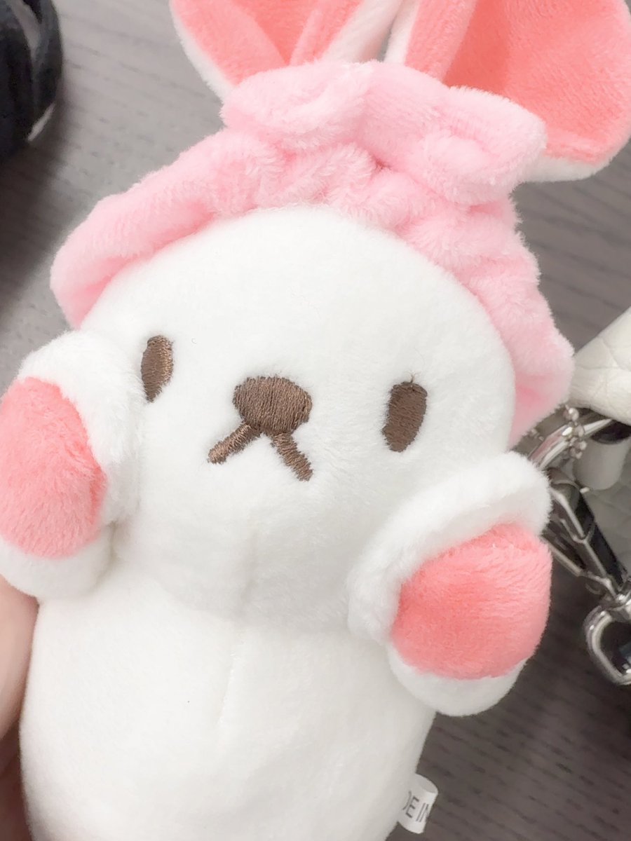 ちゅけにもちもち洗顔うさぎもらったおそろい(ᐢ. ̯.ᐢ)