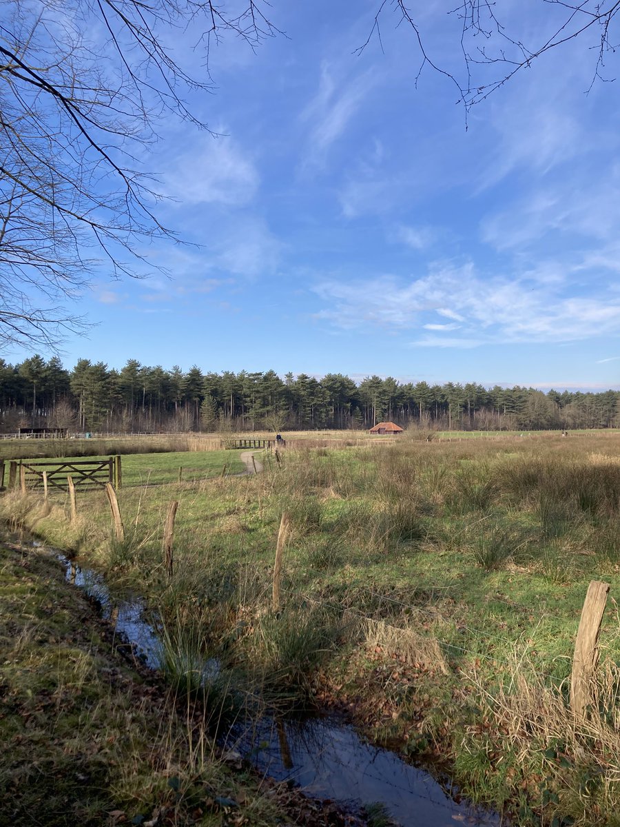#vrtweer ☀️ 14:42 Lille