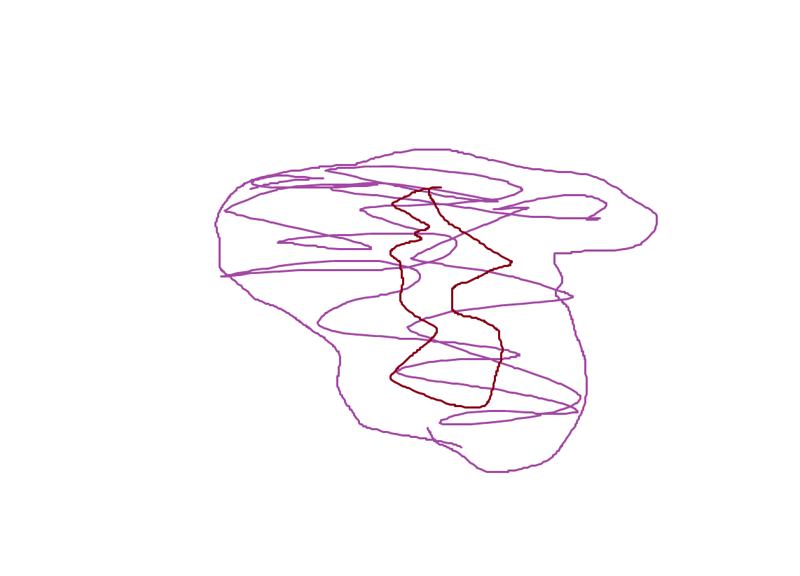 Pixy 🧚‍♀️ tweet media