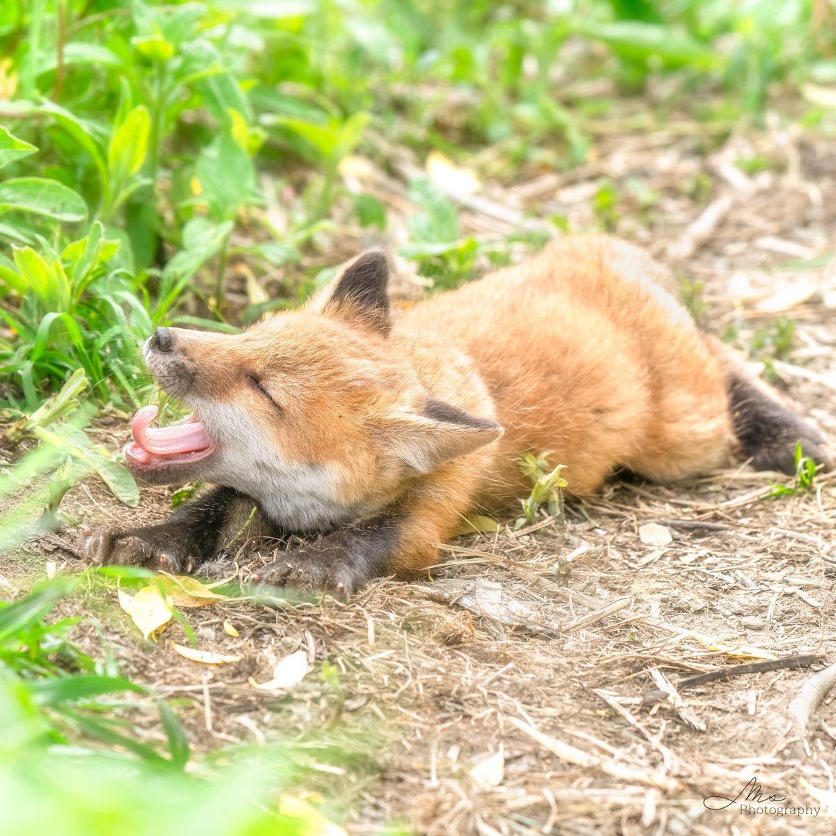 ふぁぁ𖤣𖥧𖥣𖡡𖥧𖤣
ほっかいどうのそらのした
