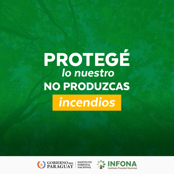 ParaguayTVHD's tweet photo. Conocer es el primer paso para cuidar 

🌳 Protegé lo nuestro. No produzcas incendios.  

#incendiosforestales #infonapy #gobiernodelparaguay https://t.co/IgbzOkPUpi