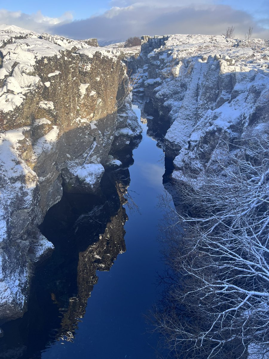 CHS ICELAND tweet media