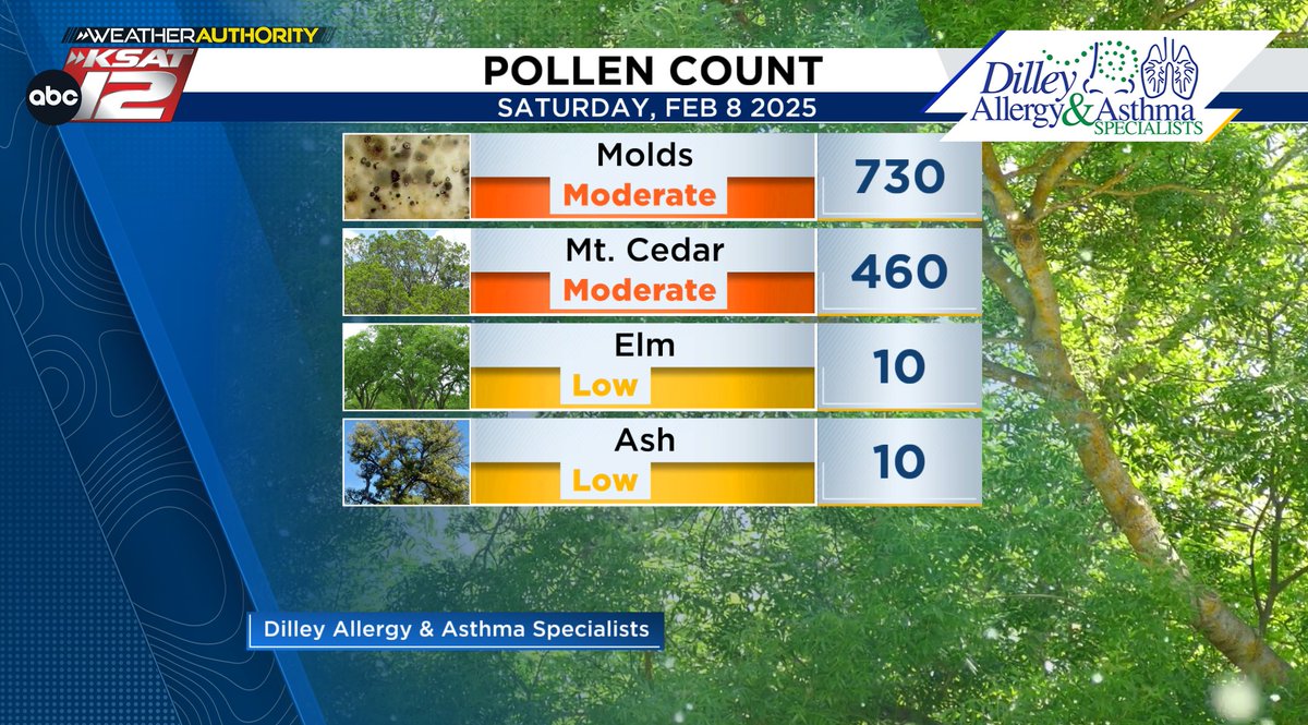 Mia Montgomery tweet media