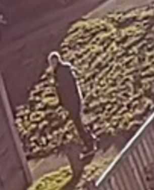 Do you recognise this man? He might be able to help our enquiries into an incident in the Jarden area of #Letchworth on Sunday 2 Feb.

Although the image is not the clearest, it does show a dark jacket with a white logo on the left arm. 

Please call 101 quoting 41/11080/25.