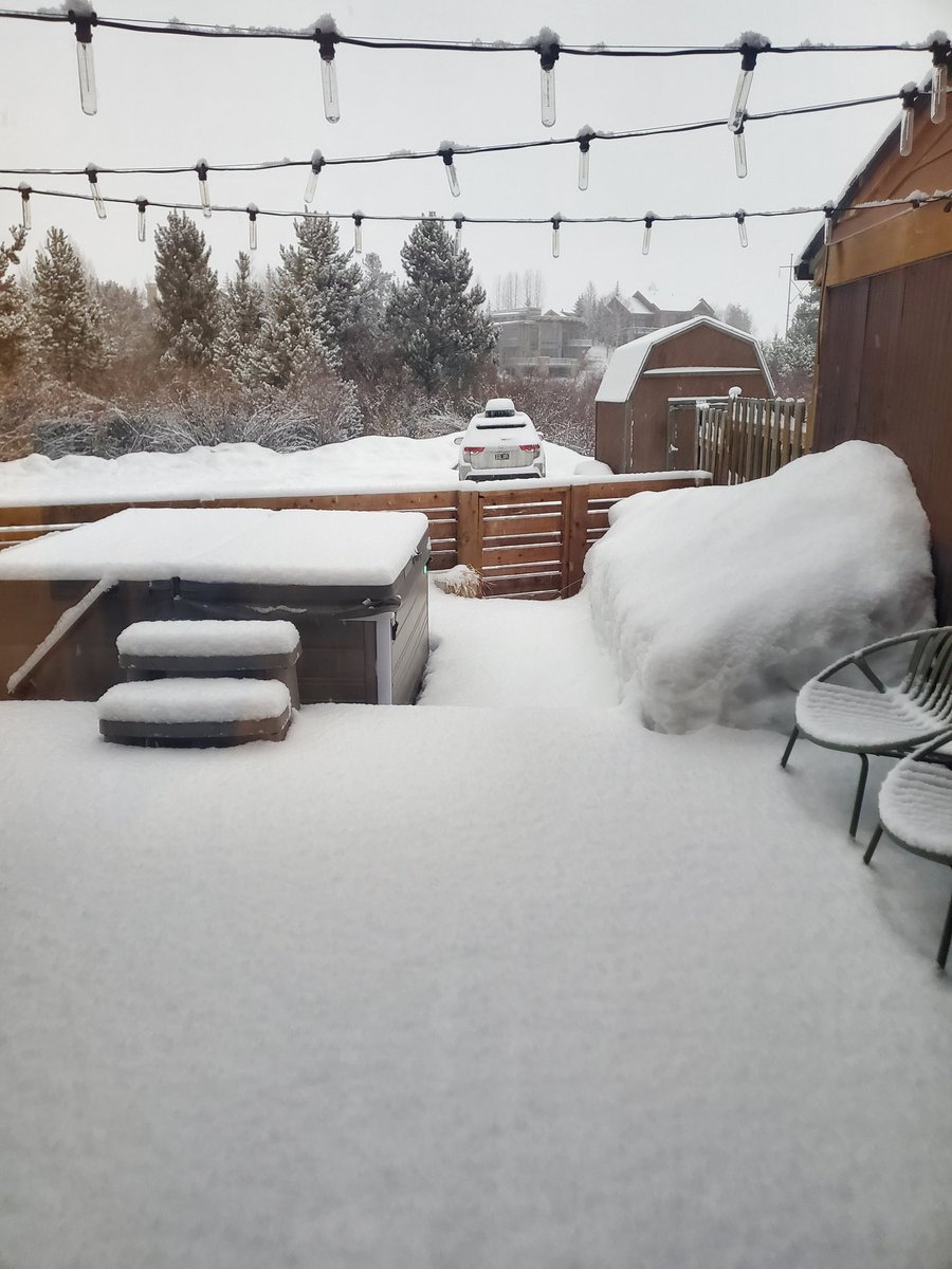 Jaslyn Snell tweet media