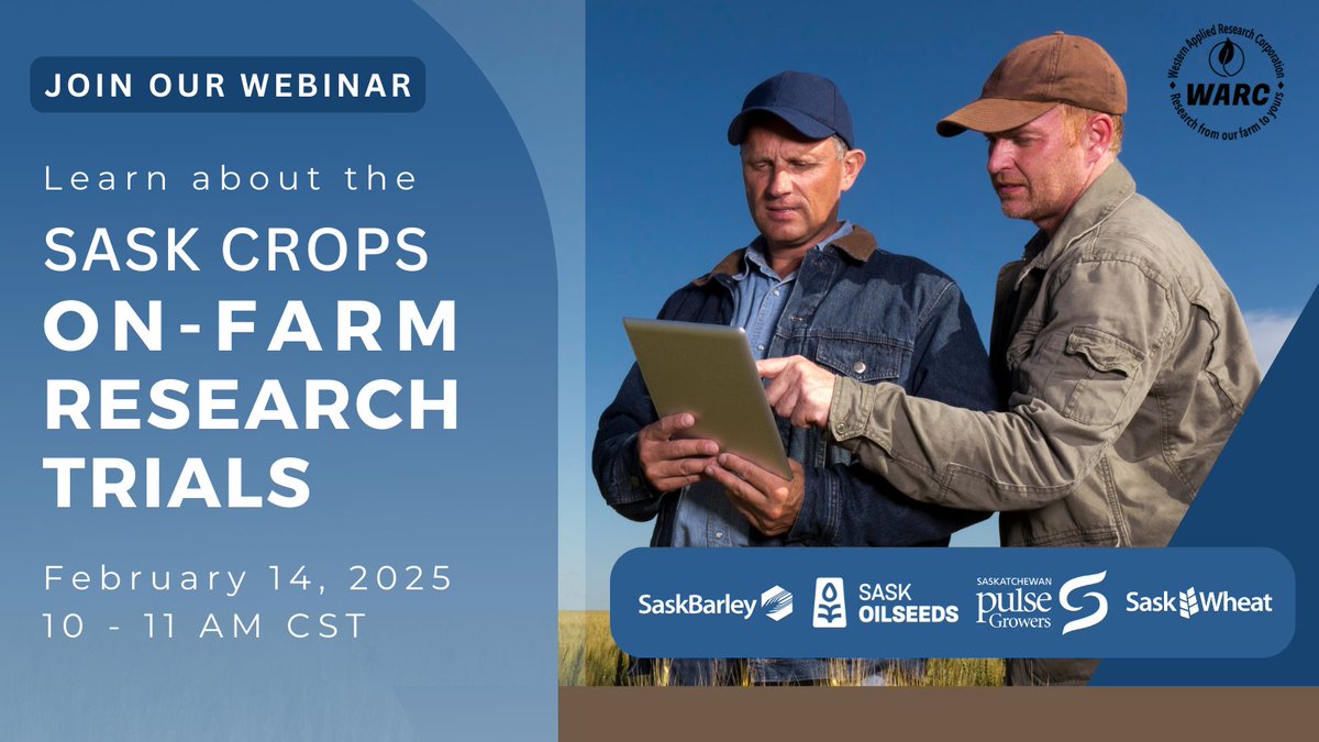 SaskWheat's tweet photo. WEBINAR: Join Sask Crop Commissions for an informative webinar where we’ll unveil the results of the 2024 Saskatchewan On-Farm Field Research program and explore the exciting protocols available for 2025.

https://t.co/U629ZZcoFh https://t.co/XEYrzO1pje