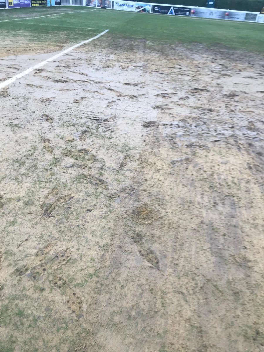 Ethan Prichard tweet media