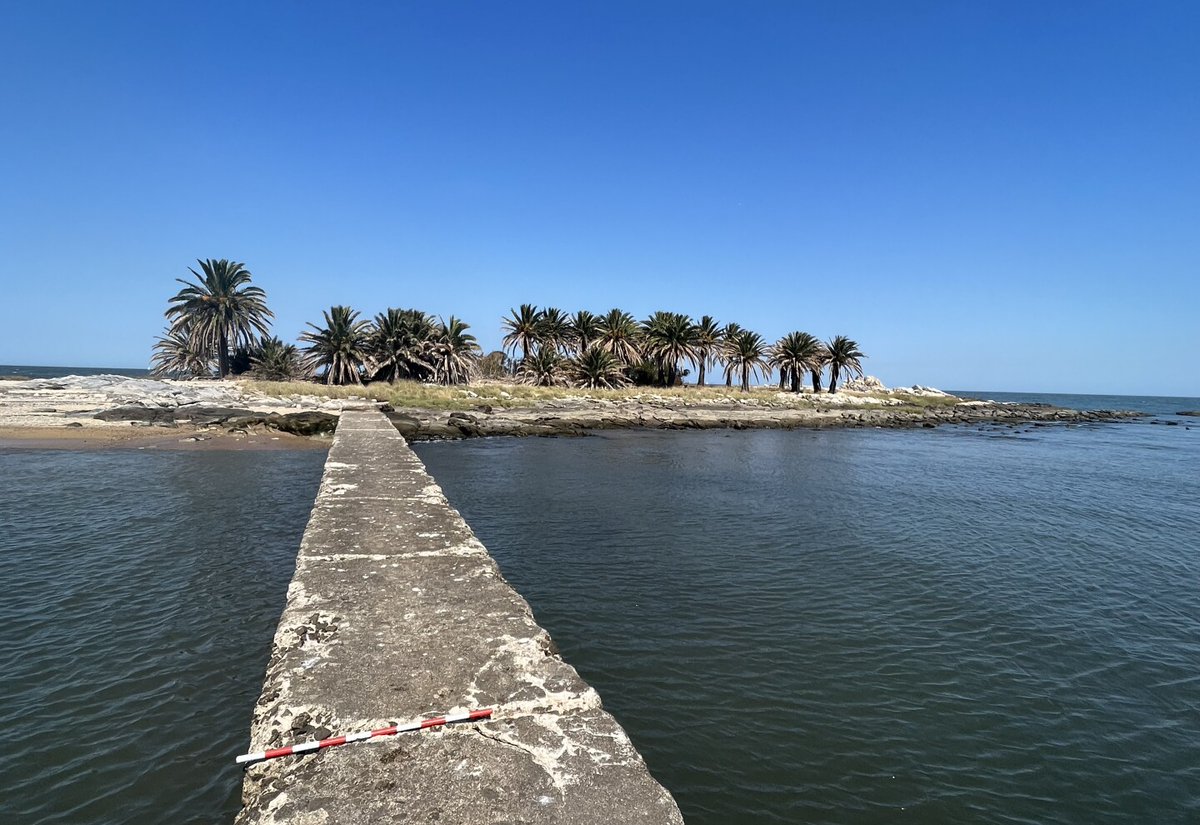 Vuelta a la isla, travesía y Waterpolo en Malvín🏊‍♀️🏊‍♂️

🎙Escuchá la entrevista completa

radiocarve.uy/vuelta-a-la-is…