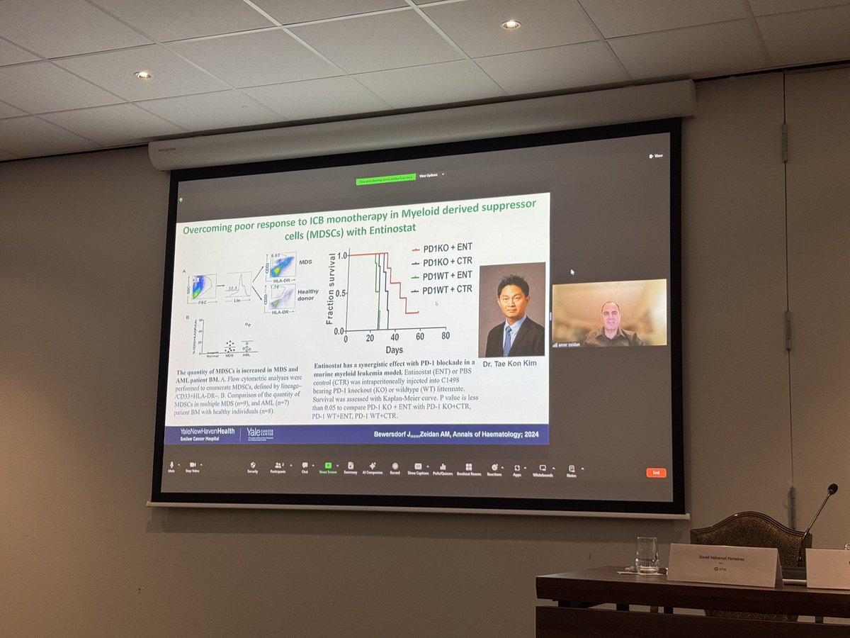 Kordasti_lab (@kordastil) on Twitter photo It was great to have <a href="/Dr_AmerZeidan/">Amer Zeidan MBBS,MHS عامر زيدان</a> in our annual #i4MDS meeting at the Hague (virtually). He gave an excellent talk on the future of ICI in #MDS. Many thanks Amer for the great talk! It was great to have <a href="/Dr_AmerZeidan/">Amer Zeidan MBBS,MHS عامر زيدان</a> in our annual #i4MDS meeting at the Hague (virtually). He gave an excellent talk on the future of ICI in #MDS. Many thanks Amer for the great talk!