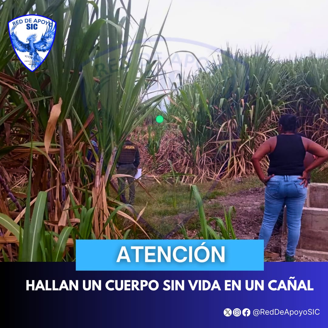 #ATENCIÓN 📢) Se registro accidente de tránsito en el Puente vehicular de Candelaria, involucrados un vehículo particular vs6 motocicleta.
Los organismos de socorro atienden la emergencia.
s6RedDeApoyoSIC