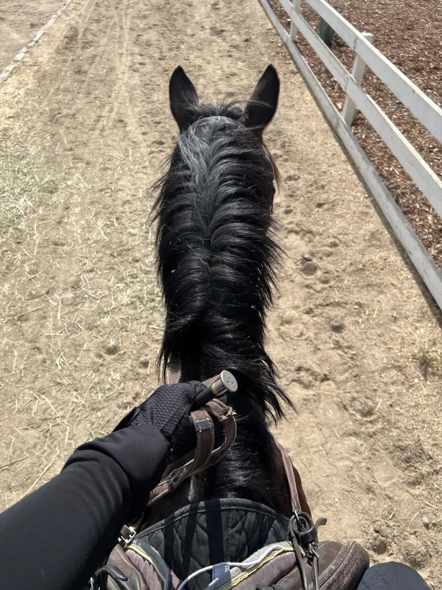 There are two ways to exert force when riding a horse: 1️⃣ Toes facing forward 2️⃣ Toes facing outward
I don’t like the second one. I feel that 1️⃣ is more stable
