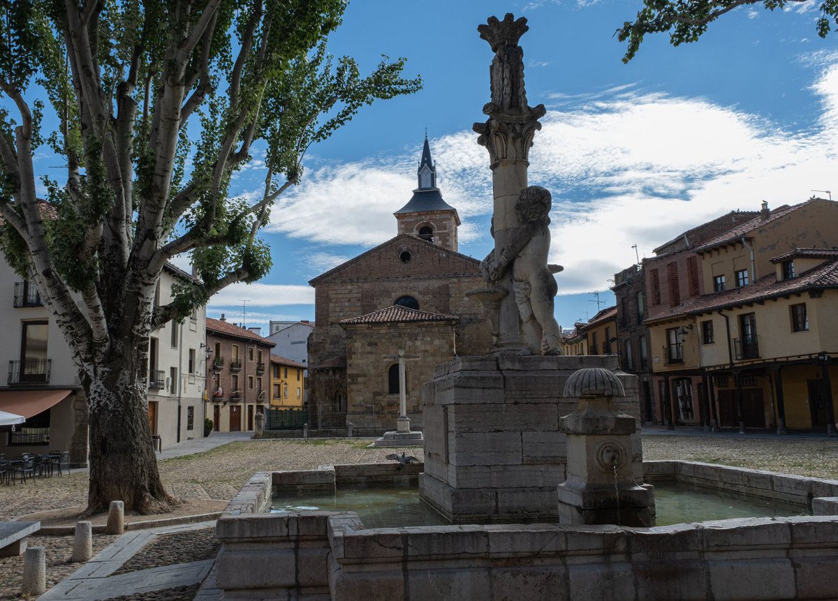 Usse22885773's tweet photo. León 😍
📷 E.R. https://t.co/v7eaQYU23W