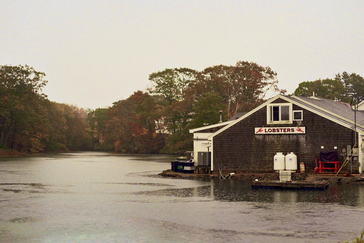 35mmfilmslides tweet media