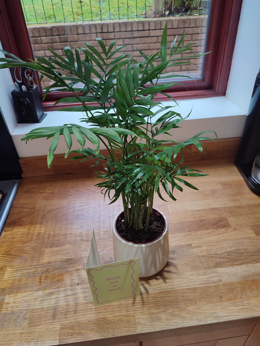 Vaso Totsika (@vasototsika) on Twitter photo Thanks very much for my beautiful plant Dr <a href="/Laura_Paulau/">Laura Paulauskaite</a>
It has been a pleasure supervising your PhD journey with <a href="/wirebird50/">Carol Rivas nee Малишак</a> Thanks very much for my beautiful plant Dr <a href="/Laura_Paulau/">Laura Paulauskaite</a>
It has been a pleasure supervising your PhD journey with <a href="/wirebird50/">Carol Rivas nee Малишак</a>