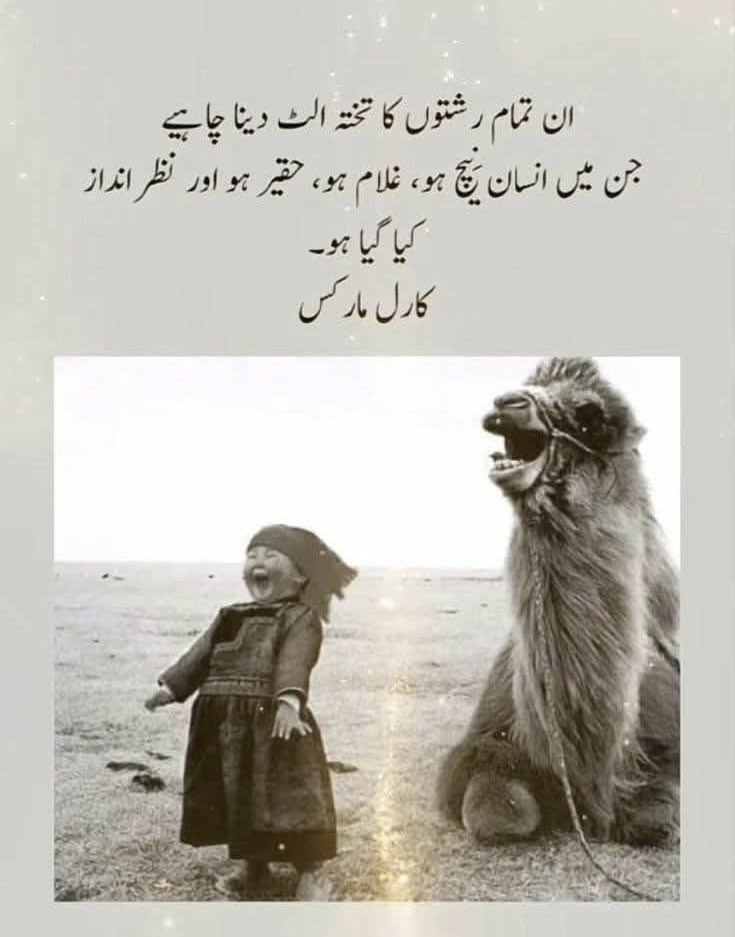 Gul tweet media