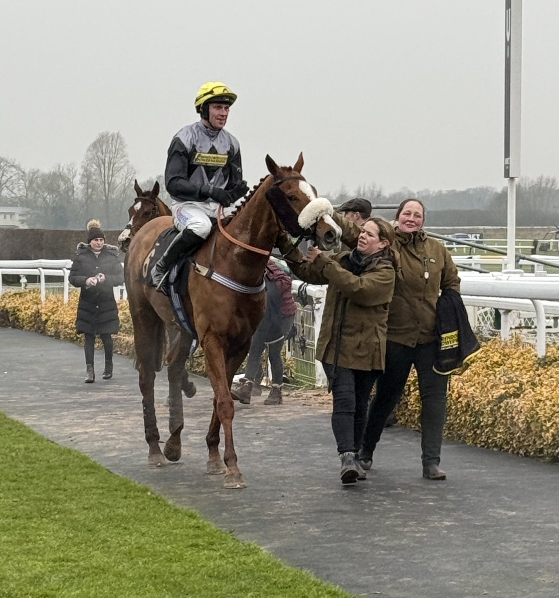 Stellar oerfirmance by Celtic Art to win the 2 mile hcp hurdle  <a href="/WarwickRaces/">Warwick Racecourse</a> under <a href="/williams_lorcan/">Lorcan Williams</a> for <a href="/holworthyfarm/">Jeremy R.M. Scott</a> to record his 7th career win. Purchased for Jeremy with <a href="/TMBloodstock/">TomMaloneBloodstock</a> at <a href="/Tattersalls1766/">Tattersalls</a>  Big congrats to the team. What a star he is ⭐️⭐️