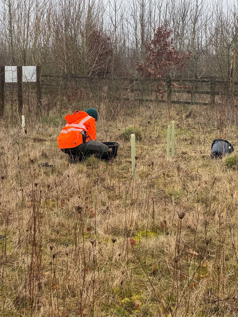 Andover Trees United tweet media