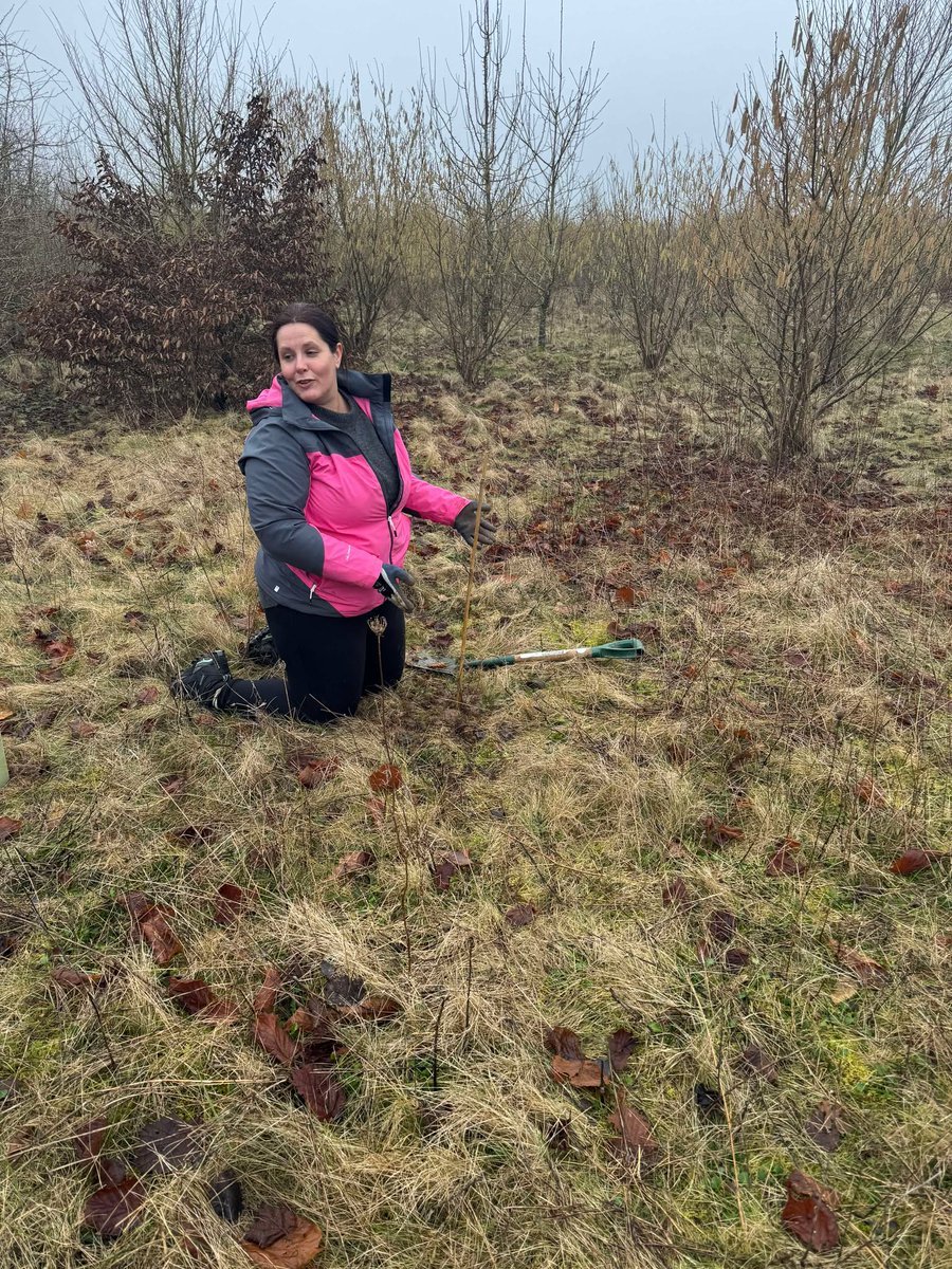 Andover Trees United tweet media