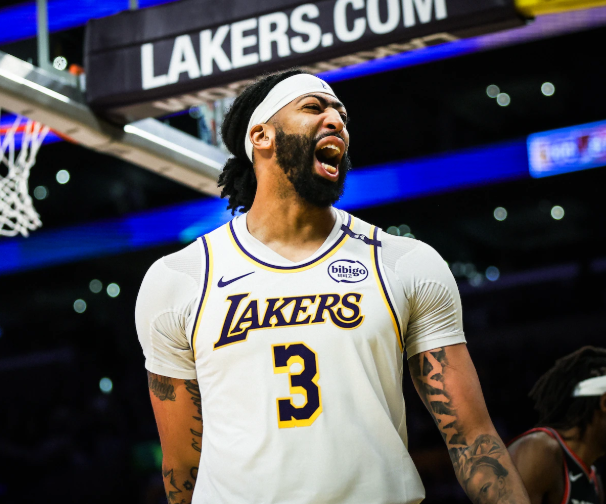 🍀TurtleParlay🐢 tweet media