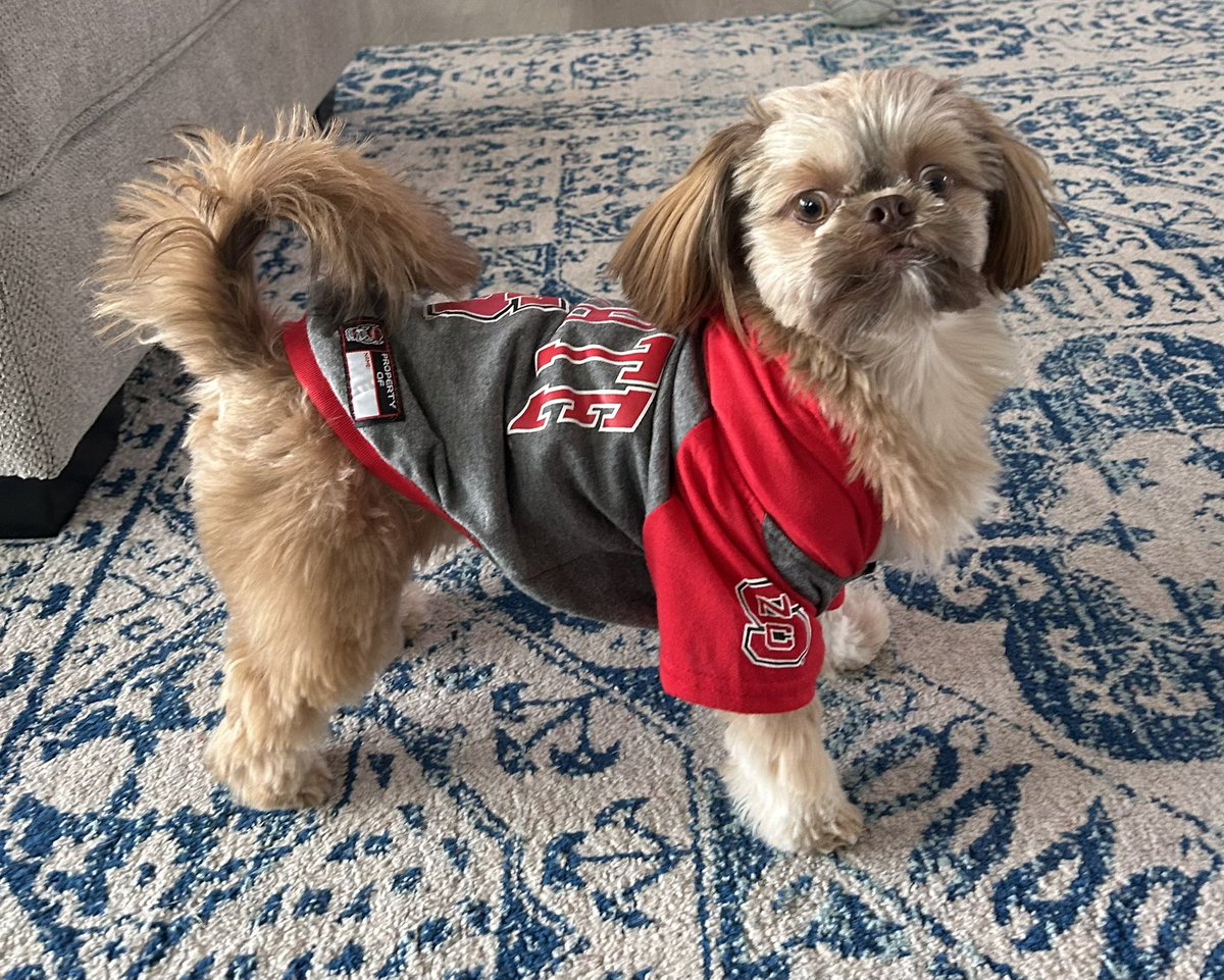 EllenBastoni's tweet photo. Theo is a member of the pack!
@UCFProduction https://t.co/PIMSV0u9sl
