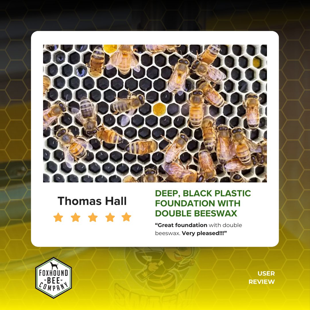 FoxhoundBeeCo's tweet image. Thanks, Thomas, for the great feedback! We’re thrilled you love the Deep, Black Plastic Foundation with Double Beeswax. It means so much to us! 🐝

Transform your beekeeping: bit.ly/3WK2J3H

#FoxhoundBeeCo #BeekeepingEssentials