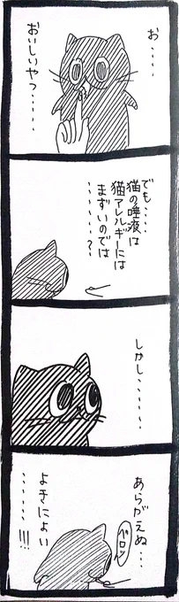 家庭内野良猫みのりちゃん41 