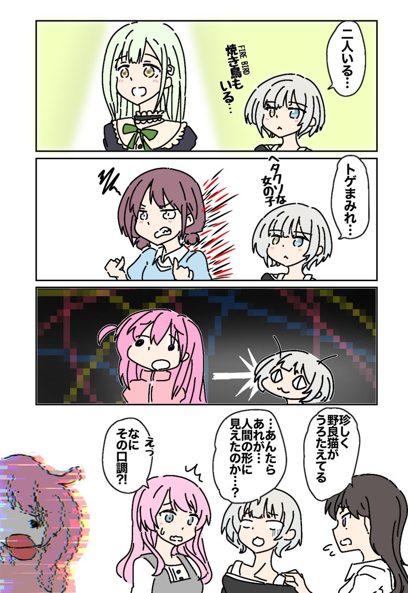 見える野良猫 