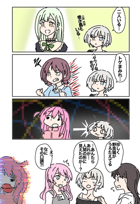 見える野良猫 