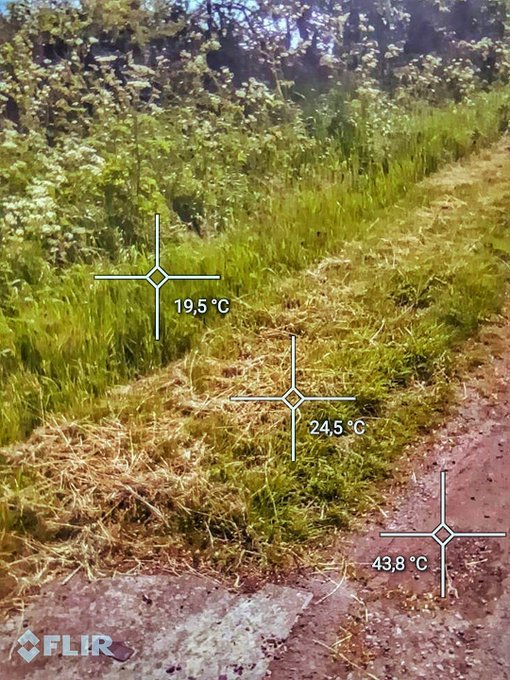 Dr. Matthew M. Wielicki tweet media