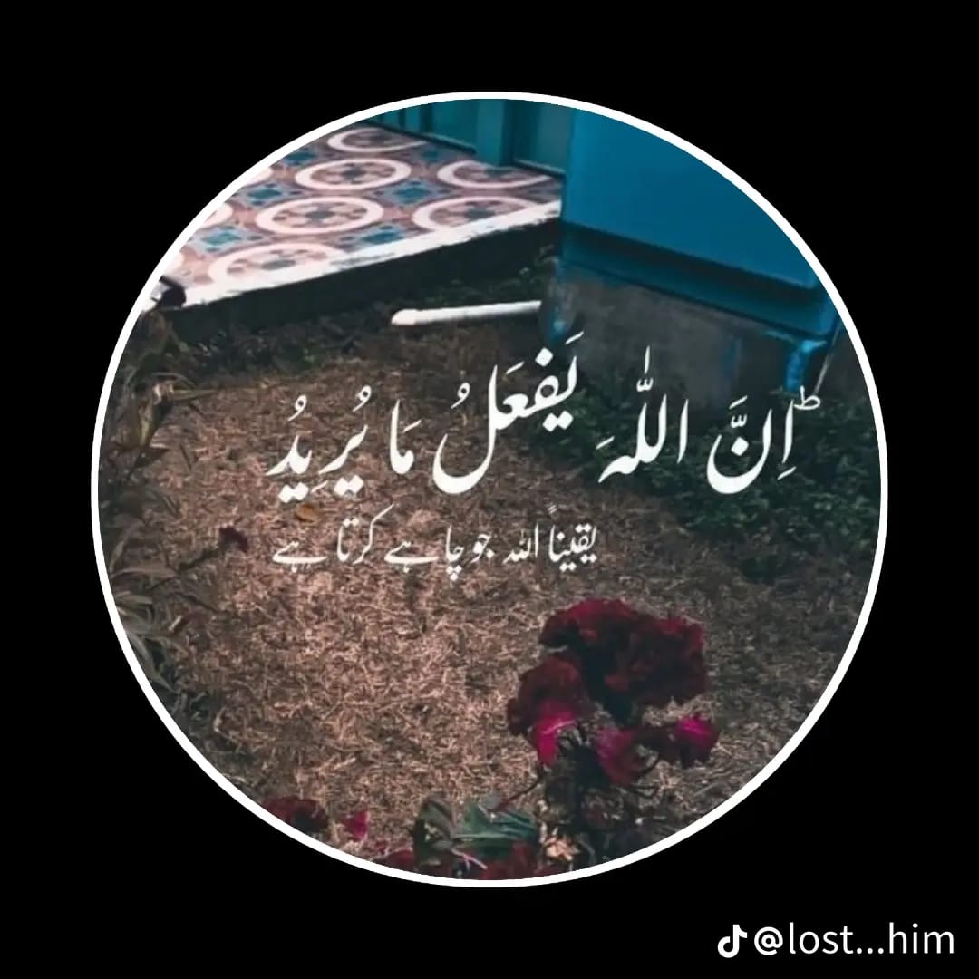 MohsinJavid Khan tweet media