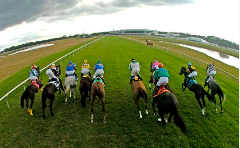 The RacingDownWind Community tweet media