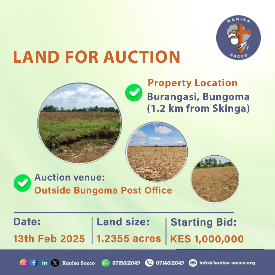 Looking to invest in land? We have a 1.2355-acre agricultural parcel in Burangasi, Bungoma County, 1.2 km from Skinga Shopping Centre.
Auction Date: 13th February 2025, outside Bungoma Post Office
Starting Bid: KES 1M
Contact us via info@kanisa-sacco.org for details. #Investments