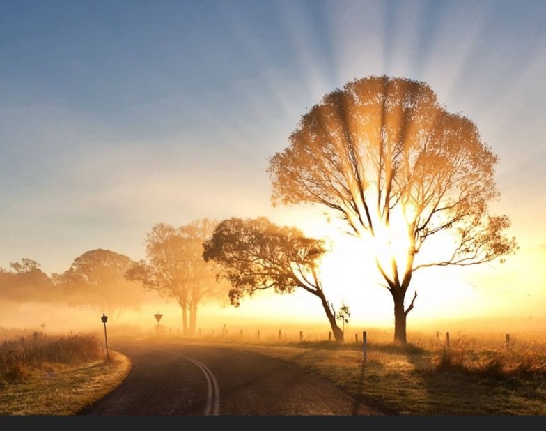 MMcLaughlinsong's tweet photo. My voice You shall hear in the morning, O Lord; In the morning I will direct it to You, 

And I will look up.

Psalm 5:3 https://t.co/7fGyYcWasV