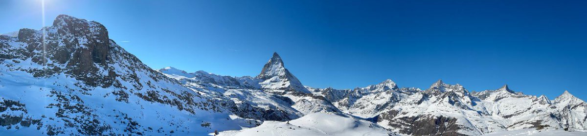 David Menzies 🇵🇸 🇺🇦 🏳️‍🌈 tweet media